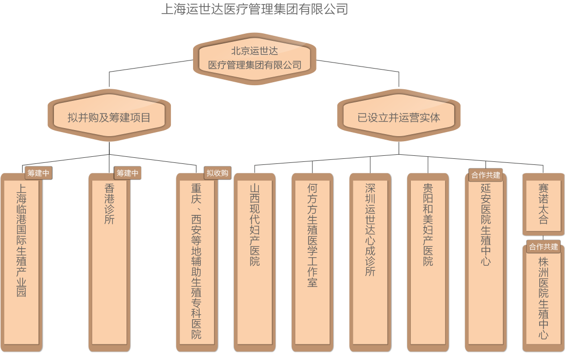 运世达国内股权结构图